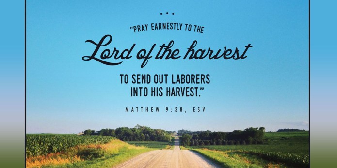 Background of a beautiful Wheat field and blue sky with the words of Matthew 9:38 in the foreground.